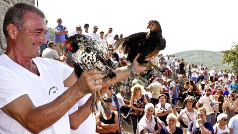 En el monte Alba, en Valadares, se realizan pujas de animales