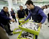 En el Muro coru��s se not� ayer la escasez de capturas y el kilo lleg� a pagarse a 13 euros.