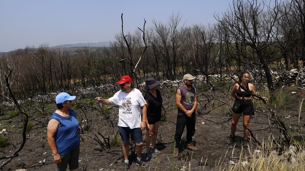 Un año después en Maceda: «Nin o monte rexenerou nin os gandeiros nos recuperamos»
