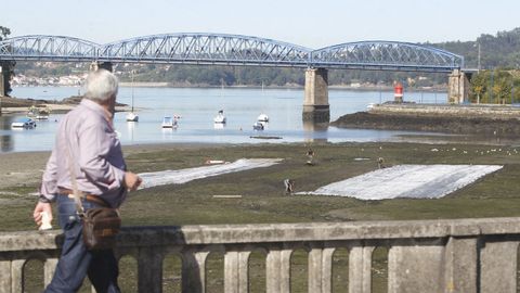 Mariscadores trabajando en la r�a eumesa, en una imagen de archivo