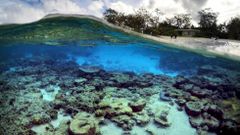 Varios turistas frente a una playa donde se ve el arrecife de coral en Australia.
