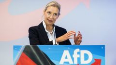La l�der de la AfD, Alice Weidel, durante un acto de campa�a en Wietze 