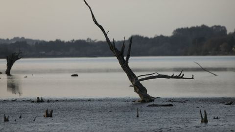 Embalse de Cecebre afectado por la sequa