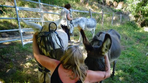 Visitantes abrazando a los burros