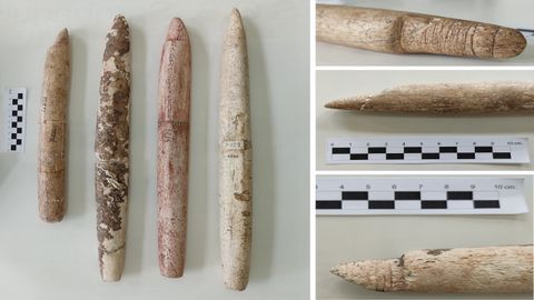 Restos arqueol�gicos de arpones utilizados para la caza de ballenas