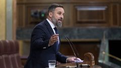 Imagen de la intervenci�n de Abascal en la primera jornada del Debate sobre el estado de la Naci�n el pasado 12 de julio