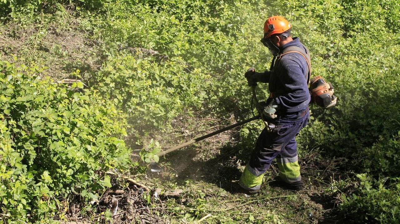 Seaga desbrozará más de 200 fincas sin propietario conocido en dos parroquias de Sober