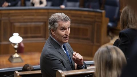 Alberto N��ez Feijoo, este lunes en el Congreso de los Diputados