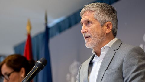 El ministro de Interior, Fernando Grande-Marlaska, durante la rueda de prensa, en la sede del Ministerio de Sanidad.