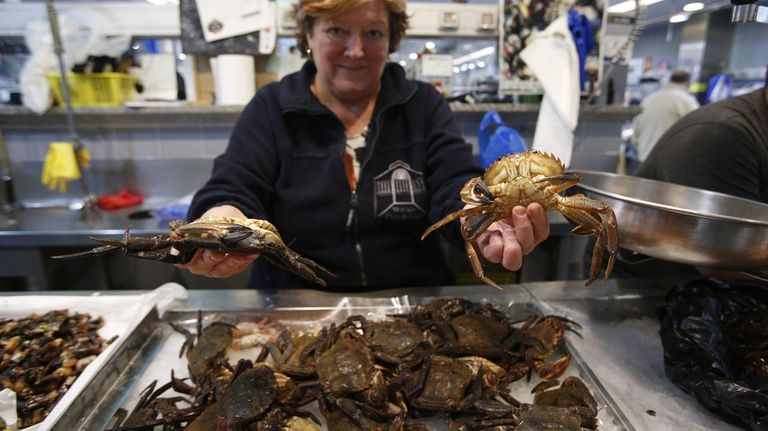 N�coras en una pescader�a de la coru�esa Plaza de Lugo, a principios de julio del 2022.
