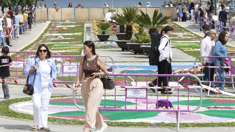 Alfombras flores de Ares