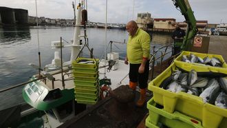 Un pesquero de bajura descargando xarda a finales de marzo en Burela, lonja que repite liderazgo en Galicia en la venta de este pescado azul