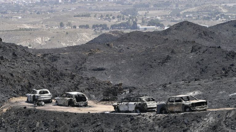 El incendio en Los Gallardos, en im�genes