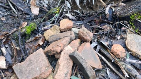 Restos de cer�mica romana entre los restos de la roza.