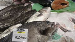 Pescado fresco en el Mercado de El Fontn de Oviedo