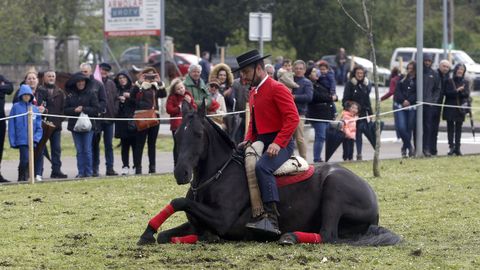 Feria caballar en las Fiestas de San Marcos 2019