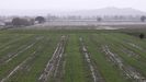 Elsa ha inundado los campos en los que se cultiva el cereal en A Limia, el granero de Galicia