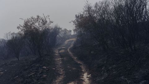 Incendio en Trives y Manzaneda