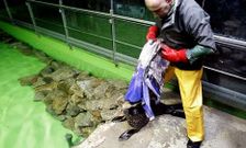Las instalaciones permanecer�n cerradas hasta que se formalice el nuevo contrato.