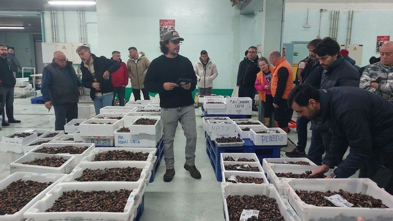 Trabajadores de Paco Moinelo, en plena subasta de marisco ayer en la lonja de A Coru�a