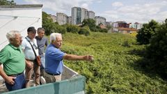 Dejadez municipal. Vecinos pr�ximos a la zona de Castrelos y la plaza de Am�rica solicitaron al Concello, en el 2013, que desbrozara una selva de maleza que ocupa 8.000 metros y que, un lustro despu�s, segu�a igual.