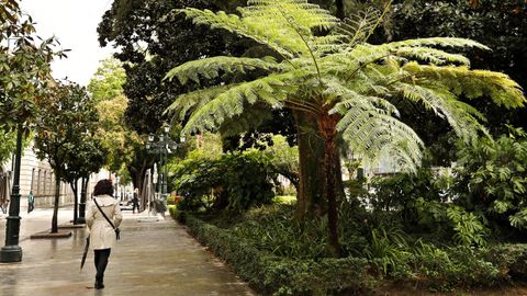 Una manifestaci�n se desarrollar� en la plaza de la Alameda y la otra en la Praza do Rei