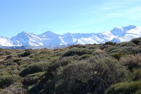 Vista de uno de los macizos monta�osos analizados en el estudio, donde el aumento de las temperaturas amenaza la flora aut�ctona de alta monta�a.