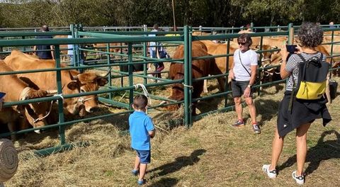 Alrededor de 200 reses participaron en la muestra de ganado de Montederramo.