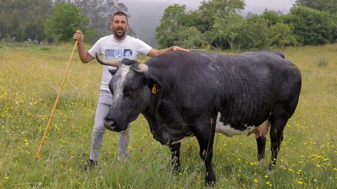 <span lang= gl >Iv�n Gonz�lez Mouriz con Belga, a vaca de raza belga azul que�levou o premio ao mellor exemplar na Feira de Gando de Moeche, o 14 de xu�o</span>