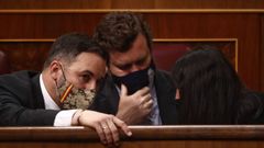 El l�der de Vox, Santiago Abascal; el portavoz parlamentario de Vox, Iv�n Espinosa de los Monteros; y la portavoz adjunta de Vox en el Congreso, Macarena Olona, este mi�rcoles en el Congreso