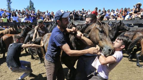 Las  bestas  no se lo pusieron fcil a los  aloitadores 