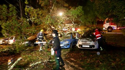 Cae un rbol encima de siete coches en ACEA Da Ama