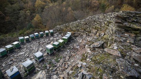Un colmenar moderno dentro una alvariza, situada en el llamado camino de Belesar