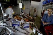 En algunas pescader�as de Viveiro y Barbanza, el precio de la sardina super� al del bonito.