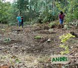 Cada ni�o dej� un indicativo con su nombre junto a los �rboles