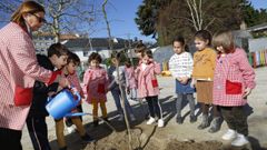 Voz Natura en el colegio Vagalume de Vilagarc�a