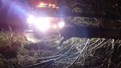 Bomberos y equipo de emergencias de Boiro retiraron un �rbol que el viento derrib� en Abanqueiro