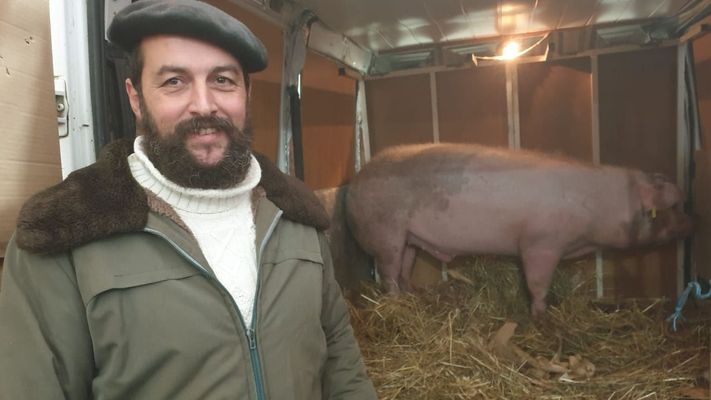 Feira do Porco da Ceba en Cospeito