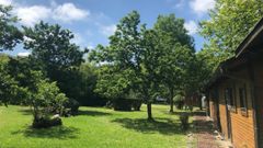 Una vista general de la finca del camping Amaido, en San Tirso de Abres