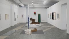 Exposici�n de homenaxe ao poeta Gonz�lez Anan�n no Museo Provincial de Lugo