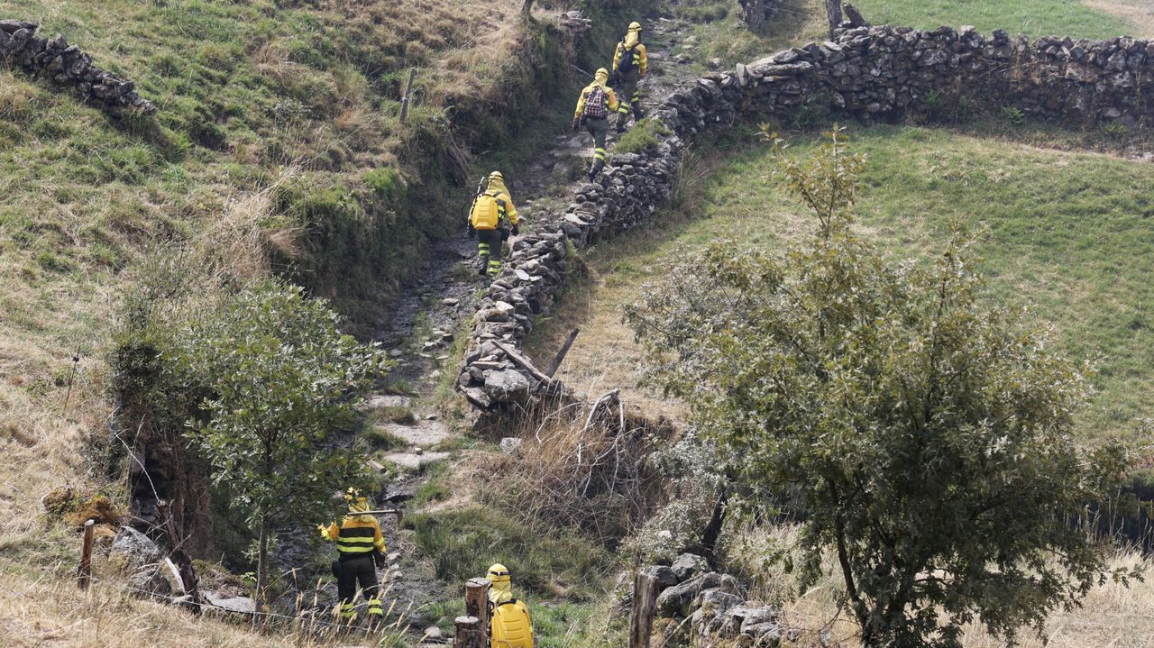 Las cigüeñas sí se salvaron