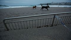 La marea destruye partes de la duna de la playa de Riazor