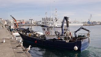 Un cerquero entrando en el puerto de A Coru�a en abril del 2025.