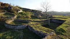 Castromao ser� declarado BIC