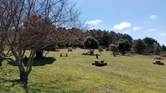 Zonas verdes acondicionadas por el Concello de Ferrol.