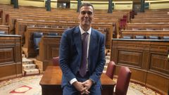 Pedro S�nchez,� en el Congreso