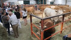 Feira do Gando Vac�n en A Fonsagrada