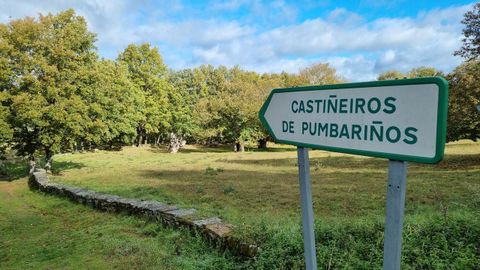 El castieiro de Pumbarios es el protagonista en el souto de Rozavales en Manzaneda