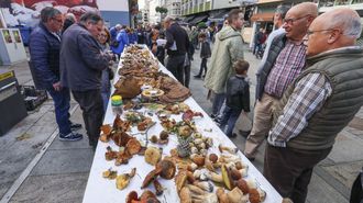 Exposici�n de setas tras una salida organizada por Lumieira