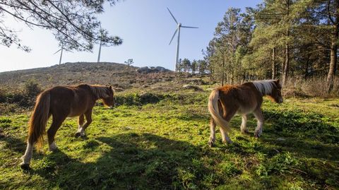 El parque elico Monte Redondo, de Naturgy, ser repotenciado